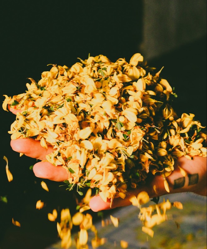 من أجود المكونات